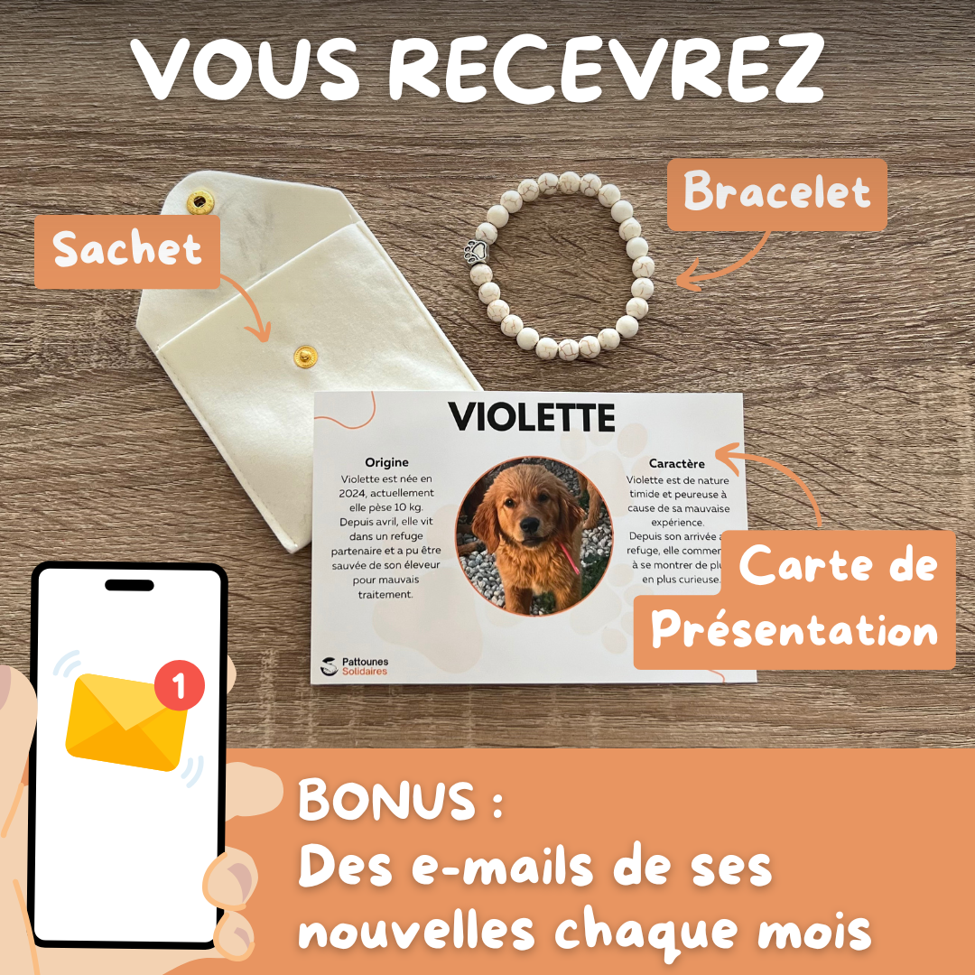 Bracelet Pattounes Solidaires